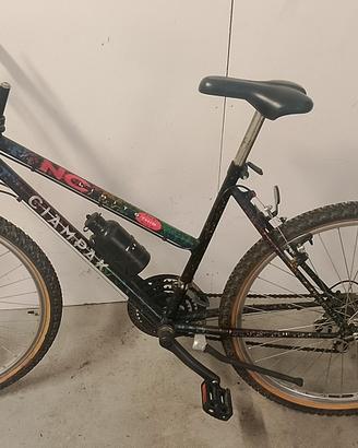 bicicletta donna