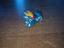 Immagine 2