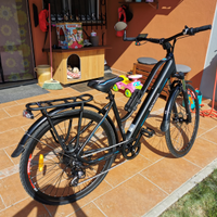 E-bike Machweel 550 Cruiser