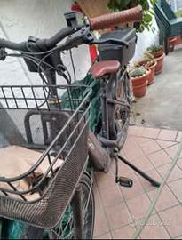 bicicletta elettrica