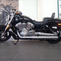 Harley Davidson 1250 V-Rod Muscle