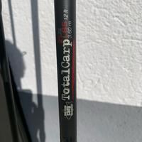 Canna pesca alla carpa