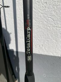 Canna pesca alla carpa