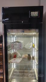 Macchinari e attrezzature per salumificio