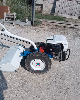 motocoltivatore 10 CV...a benzina