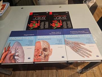ANATOMIA DEL GRAY+ PROMETHEUS