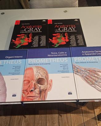 ANATOMIA DEL GRAY+ PROMETHEUS