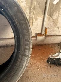 Gomme estive
