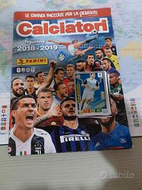 album e figurine panini