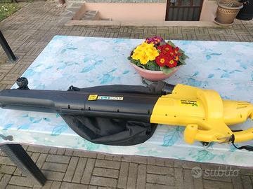 Aspiratore soffiatore