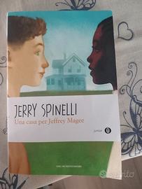 una casa per jeffrey maree,  spinelli 