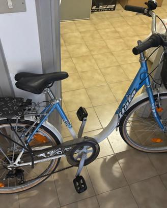 biciclette da passeggio e mtb