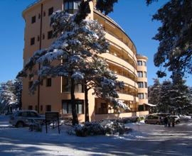 Bilocale con parco e piscina scoperta