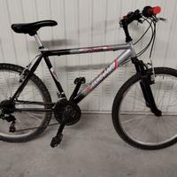 MTB GIRARDENGO 24