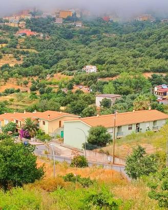 Terreno edificabile panoramico 875 mq - Ilbono