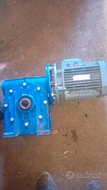 Motoriduttore