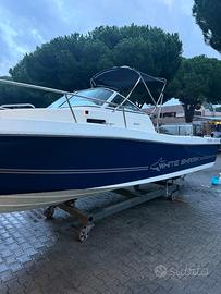 White Shark 237 valuto permuta