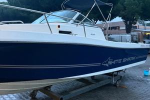 White Shark 237 valuto permuta