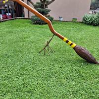 nimbus 2000