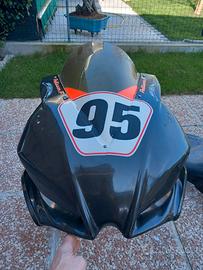 carene carbonio rsv4