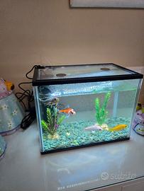 acquario 10 LT