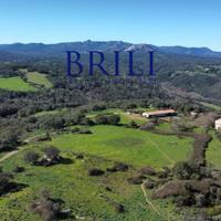 Tenuta con Sughereta e Borgo Storico a Tempio Paus