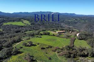 Tenuta con Sughereta e Borgo Storico a Tempio Paus