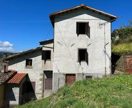 Casa Indipendente Villa Collemandina [Cod. 300VRG]