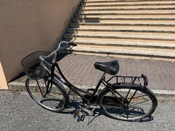 Bici Olandese 26”