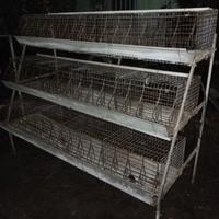gabbia a 3 piani per ingresso conigli 