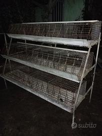 gabbia a 3 piani per ingresso conigli 
