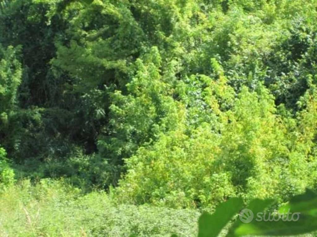 Immobile in asta di 31 m² a Offida - Vista 3
