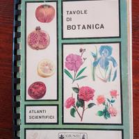 Tavole di botanica 