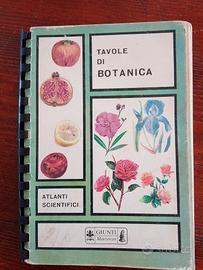Tavole di botanica 