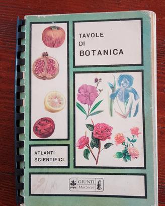 Tavole di botanica 