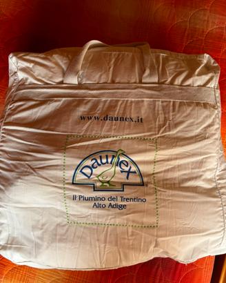 Piumone invernale