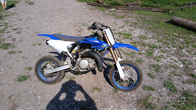 Yz65