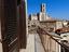Immagine 14