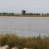 Casa vacanze a Trinitapoli da 400/sett