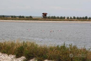 Casa vacanze a Trinitapoli da 400/sett