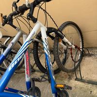 Bici Carnielli