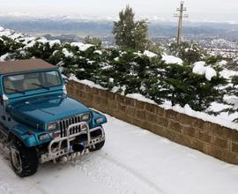 JEEP Wrangler 1ª-2ª s. - 1994