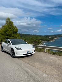 Tesla Model 3 Model 3 Long Range Dual Motor awd