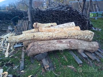 Assi tavoloni tronchi di noce e frassino