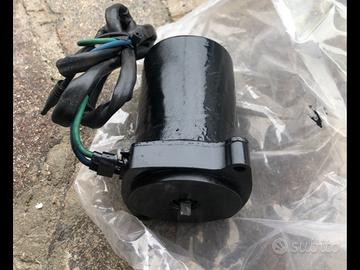 Motorino trim del 150 verado mercury