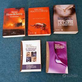 5 libri Michel Houellebecq