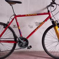 bici mountain bike bicicletta mtb 26 usata 18marce