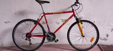 bici mountain bike bicicletta mtb 26 usata 18marce