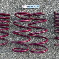 molle assetto 500 abarth