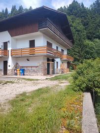 Appartamento vicino Falcade